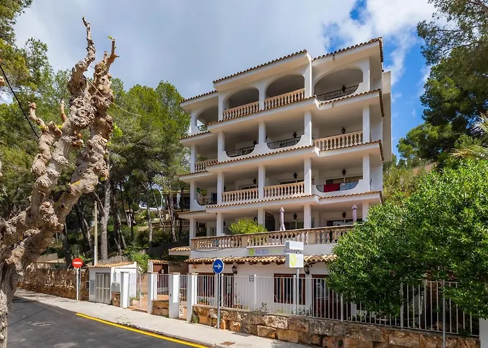 Apto Con Terraza 5